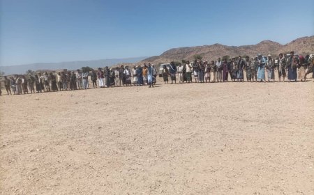 ابرزهم قائد اللواء الأول "محور سبأ".. وفد قبلي وعسكري من مأرب يصل أبين لتقديم واجب العزاء لقبائل "ال سالم"