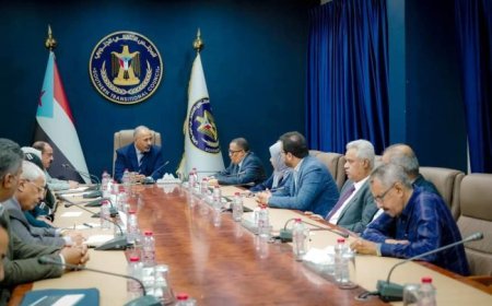 الزُبيدي يشدد على أهمية التكامل بين هيئات المجلس الانتقالي