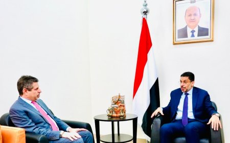 رئيس الوزراء يستقبل السفير الأمريكي