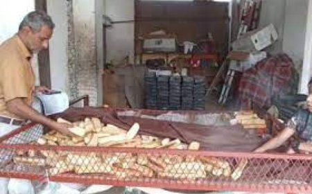 جرعة قاتلة تضرب مدينة عدن