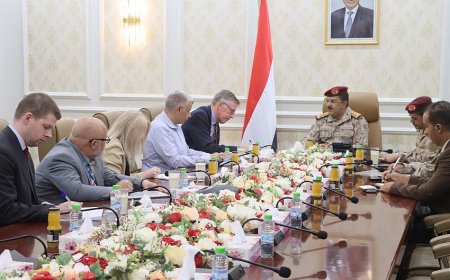 وزير الدفاع يلتقي المستشار العسكري للمبعوث الاممي
