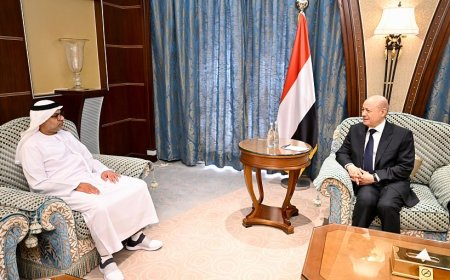 رئيس مجلس القيادة يشيد بالتدخلات الاماراتية الانمائية في مجال الطاقة المتجددة