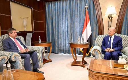 الرئيس العليمي: دعم الحكومة هو السبيل لوقف مغامرات الحوثي على الصعيدين الوطني والاقليمي