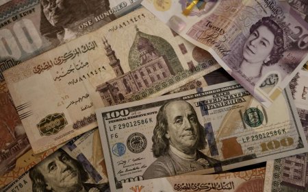 البنك المركزي المصري يرفع الفائدة 6 % ويقرر تحديد سعر صرف الجنيه وفقا لآليات السوق