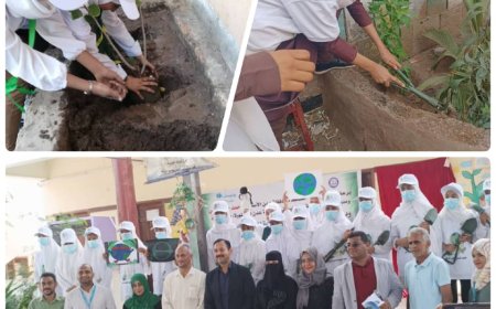 بمناسبة اليوم العالمي للأرض.. مكتب التربية عدن يدشن زرع 500 شجرة في 10 مدارس بدعم اليونسيف