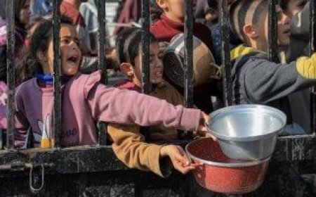 الأمم المتحدة: 4 من كل 5 أسر فى غزة تفتقر إلى إمكانية الحصول على مياه نظيفة