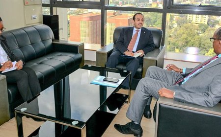 العواضي يلتقي مدير دائرة الشرق الاوسط في الخارجية الكينية