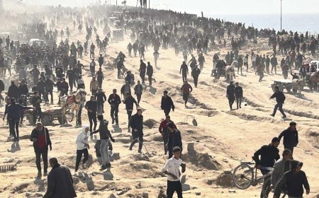 مقرر أممي: المقترح الأمريكي بإقامة ميناء مؤقت في غزة "خبيث"