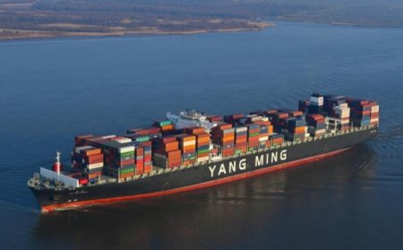 هجمات الحوثيين تهز الشحن البحري بخسائر كبيرة وتهدد اقتصاد العالم