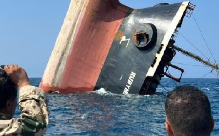 30 عاماً للتعافي.. منظمة دولية تكشف العواقب الوخيمة الناتجة عن غرق السفينة (روبيمار)