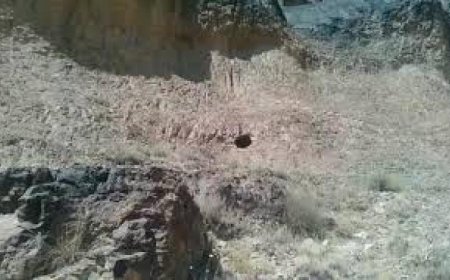 (الثروة تحت الأقدام).. راعي أغنام يكتشف كنزًا ثمينًا (صورة)