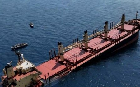 فرنسا تبدي استعدادها لإرسال خبراء متخصصين لاحتواء أزمة السفينة روبيمار