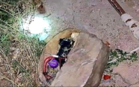 أمن شبوة ينجح في تفكيك عبوة ناسفة زرعت بأحد الأحياء السكنية بعتق