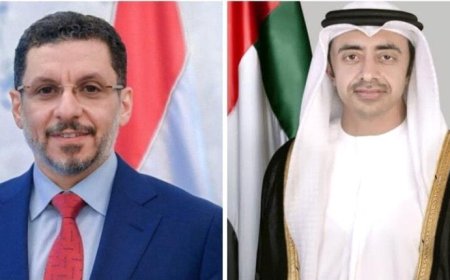 الإمارات تؤكد مواصلتها دعم المجلس الرئاسي والحكومة اليمنية