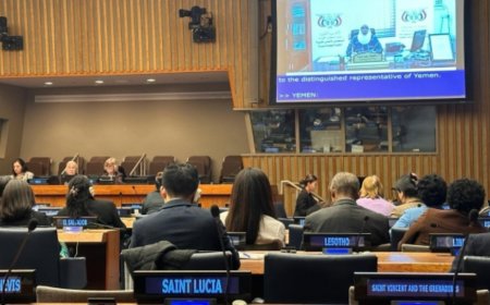 مطالبة بتسريع المساواة بين الجنسين في اليمن أمام الدورة الـ68 لـ(لجنة وضع المرأة) في الأمم المتحدة