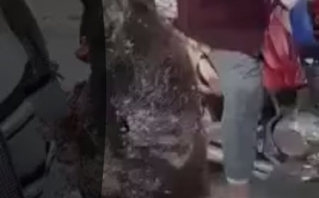 من الأفلام إلى الواقع.. فيديو يوثق ذبح حمير وبيع لحومها برمضان في هذه المحافظة