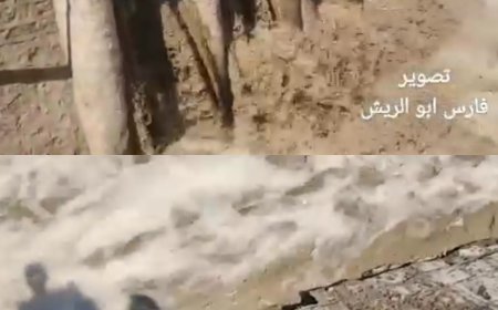 وثق مزارعون بالفيديو  فساد كبير لمحافظ أبين أبو بكر حسين مطالبين الحكومة إحالته لتحقيق