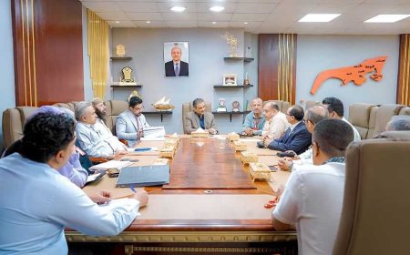 لملس يناقش مع صندوق تنمية المهارات آليات تعزيز وتطوير العمل وتنظيم برامج نوعية