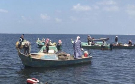 العثور على 6 جثث متحللة في ساحل الخوخة.. واعلان حكومي بشأنها