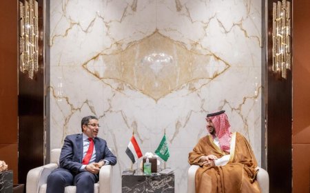 صحيفة إماراتية تكشف سبب استدعاء بن مبارك على عجل و تهاجم موقف السعودية بشأن التطورات الأخيرة في اليمن