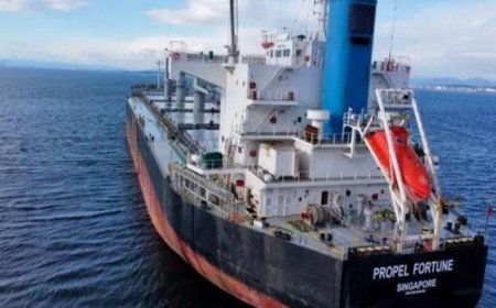 هجمات البحر الأحمر.. حريق بسفينة قبالة سواحل اليمن