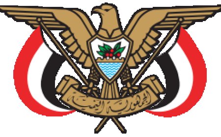 الحكومة اليمنية تدرس تعزيز أسطولها الجوي بطائرات حديثة