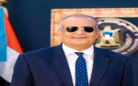 شطارة: من يعتقد أن الجنوبيين عاطفيين في السياسة عليه أن يراجع حساباته