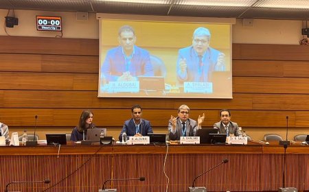 ندوة حقوقية في جنيف تكشف عن تفجير مليشيات الحوثي 930 منزلاً في 21 محافظة