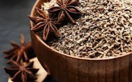 فوائد اليانسون للنساء