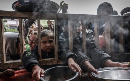 غزة.. حصيلة تخص الوفيات بسبب الجوع
