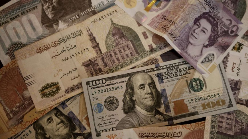 البنك المركزي المصري يرفع الفائدة 6 % ويقرر تحديد سعر صرف الجنيه وفقا لآليات السوق