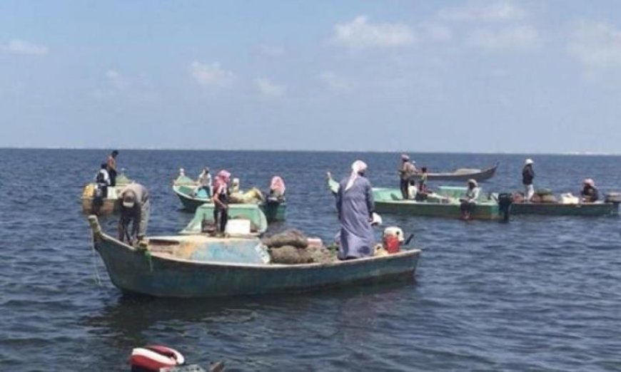 العثور على 6 جثث متحللة في ساحل الخوخة.. واعلان حكومي بشأنها