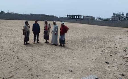 مديد عام زنجبار "الشدادي " يعاين موقع انشأ سوق خاص بالمواشي والاعلاف بالمدينة