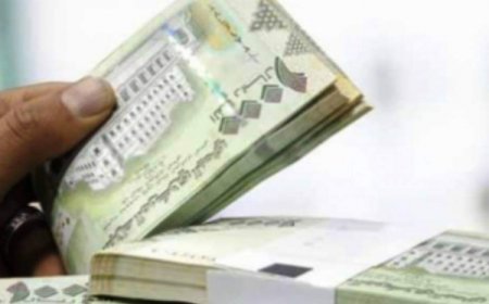 أهمها وصول الرواتب شهريا.. مصدر مقرب يكشف (أهم بنود) آلية تنفيذ خارطة الطريق!