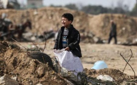 تضامنا مع غزة . قبيلة يمنية تقرر عدم شراء ملابس وجعالة العيد