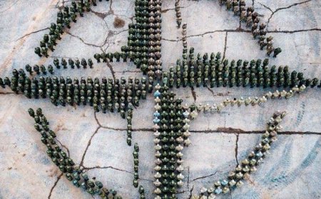 هل اقتربت الحرب العالمية الثالثة ..دول الناتو تتخذ قرارا بإنشاء مهمة مشتركة في أوكرانيا