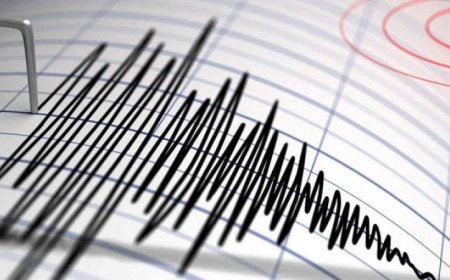 زلزال بقوة 4.8 درجات يضرب نيويورك الأمريكية