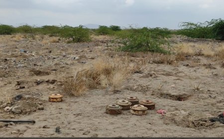 بيان صحفي عن أعمال اللجنة الوطنية للتحقيق لشهر مارس 2024