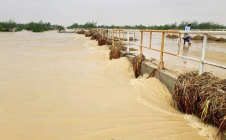 سيول غير مسبوقة في صنعاء ( فيديو)