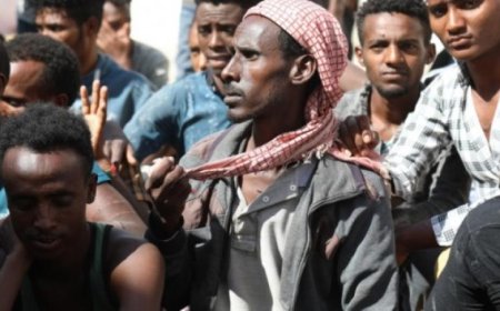 من تجنيد الأطفال إلى تجنيد المهاجرين الأفارقة.. معسكرات ومهام الخاصة للأفارقة