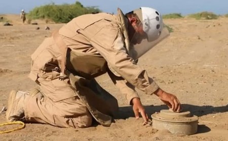 مشروع "مسام" يحقق مفاجأة جديدة في اليمن