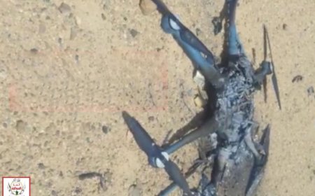 قوات العمالقة تسقط مسيرة إيرانية (صورة)