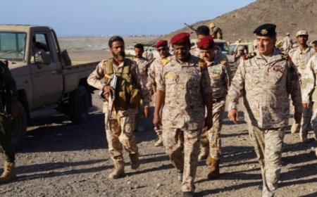 تحركات عسكرية للشرعية في باب المندب وجزيرة ميون