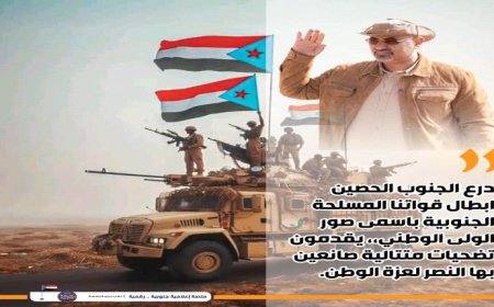 (جيشنا الجنوبي عزتنا).. سياسيون يشيدون بجهود القوات الجنوبية ويطالبون باستكمال التحرير