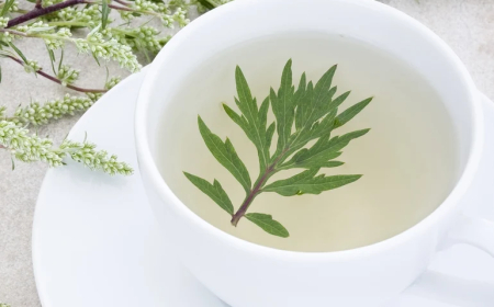 (عشبة الشيح).. فوائد مذهلة للصحة والشعر والجمال