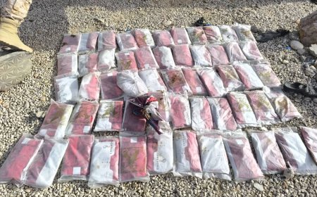 بقيادة الجبواني .. كتيبة الحماية بشبوة تضبط كميات كبيرة  من الحشيش