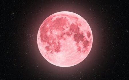 في ظاهرة فلكية جميلة : لا تفوتوا رؤية ظاهرة القمر الوردي الكامل