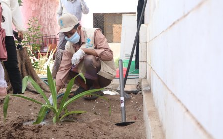 بمناسبة يوم الأرض.. مؤسسة أصدقاء البيئة تدشن حملة تشجير في مدارس عدن