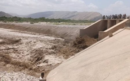 تدفق السيول وارتفاع منسوب المياه يبشر بموسم زراعي مثمر في أبين