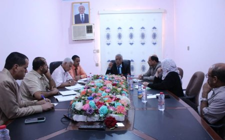 اللجنة العليا لتطبيق الأداة الوطنية للتقييم وتصنيف الجامعات اليمنية تناقش التحضيرات لعقد الدورة التدريبية لأعضائها